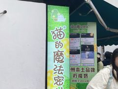 -猫的魔法密林(衣裳街店)