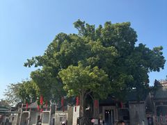 -悦城龙母祖庙