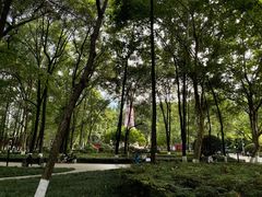 -绵阳人民公园(涪城区)