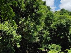 -马峦山郊野公园