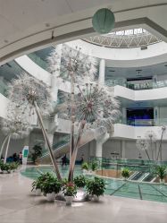 -北京科学中心儿童乐园