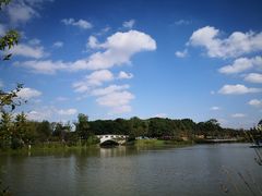 -昆山城市生态森林公园