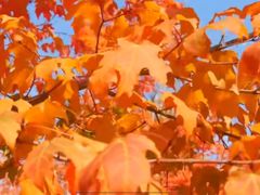 -回龙观体育文化公园