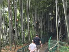 -宝岩生态观光园