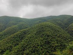 -莫干山风景区