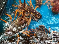 -万宝海鲜舫(劳动公园店)