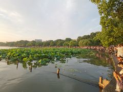 -西湖外事游船(湖滨二公园外事游船码头)