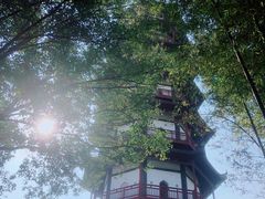 -绳金塔