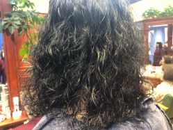 -东晨宝格丽品质造型