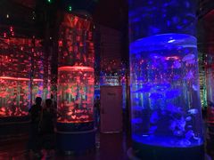 -石家庄海洋公园
