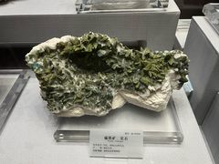 -湖南省地质博物馆