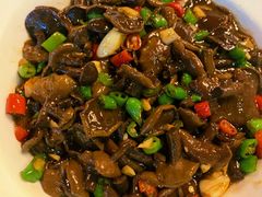 青椒牛肝菌-醉美东江·三文鱼·烧鸡公