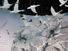 -中国湿地博物馆