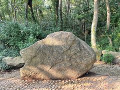 -上海佘山国家森林公园天马山园