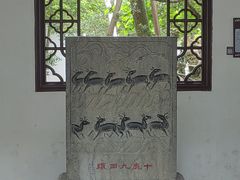 -上海醉白池公园