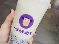 -一只酸奶牛(八一路店)
