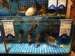 大堂-旺金鸽(穗盐路总店)