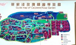 -密云玫瑰情园