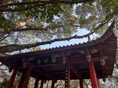 -乌山风景区