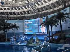 -海合安成都极地海洋公园