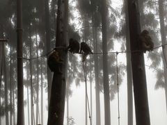 -太阳湾风景区