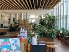 -Seesaw Coffee(朝阳大悦城店)
