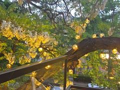 -LAMP BAR 水烟音乐酒吧