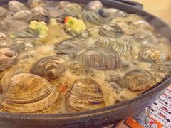 -顺德哥卜卜贝(旗舰店)