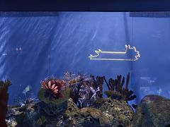 -北京海洋馆