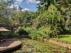 -海南热带野生动植物园