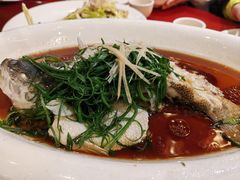 -粤香楼(新光里店)