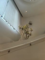 -WENDY·温迪皮肤管理