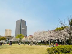 -新虹桥中心花园