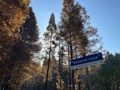 -天花井景区