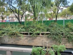 -潘玉麟糖粥