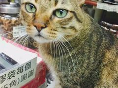 -么凤(波斯富街店)