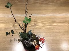 -彩葉·樱花屋日本料理(动物园店)