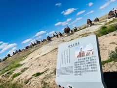 -二连浩特国家地质公园