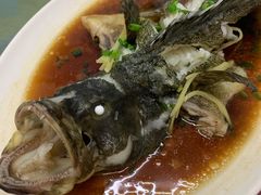 清蒸石斑鱼-三亚老渔民海鲜店