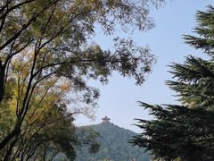 -济南南郊宾馆
