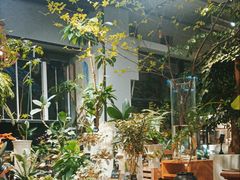 -弗劳尔花艺坊(龙涛店)