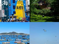 -幸福门