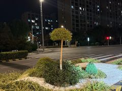 -雪枫公园