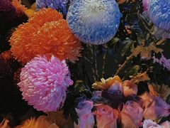 -循礼门鲜花花市(武汉循礼门店)