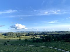 -御道口草原森林风景区