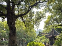 -惠山古镇·寄畅园