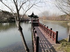 -广富林郊野公园