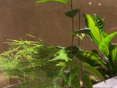 -西美五洲酒店康乐中心