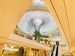 -西西弗书店&矢量咖啡(凯德晶萃广场店)