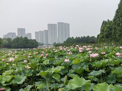 -苏州湾体育公园